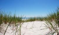 Billede illustrerer dansk sommer med blå himmel og rå klitter med havet i baggrunden. 