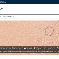 Skærmbillede af forskningscenter DREAMs hjemmeside ved AUH